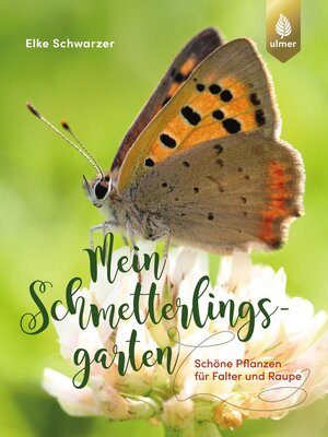 cover image of Mein Schmetterlingsgarten